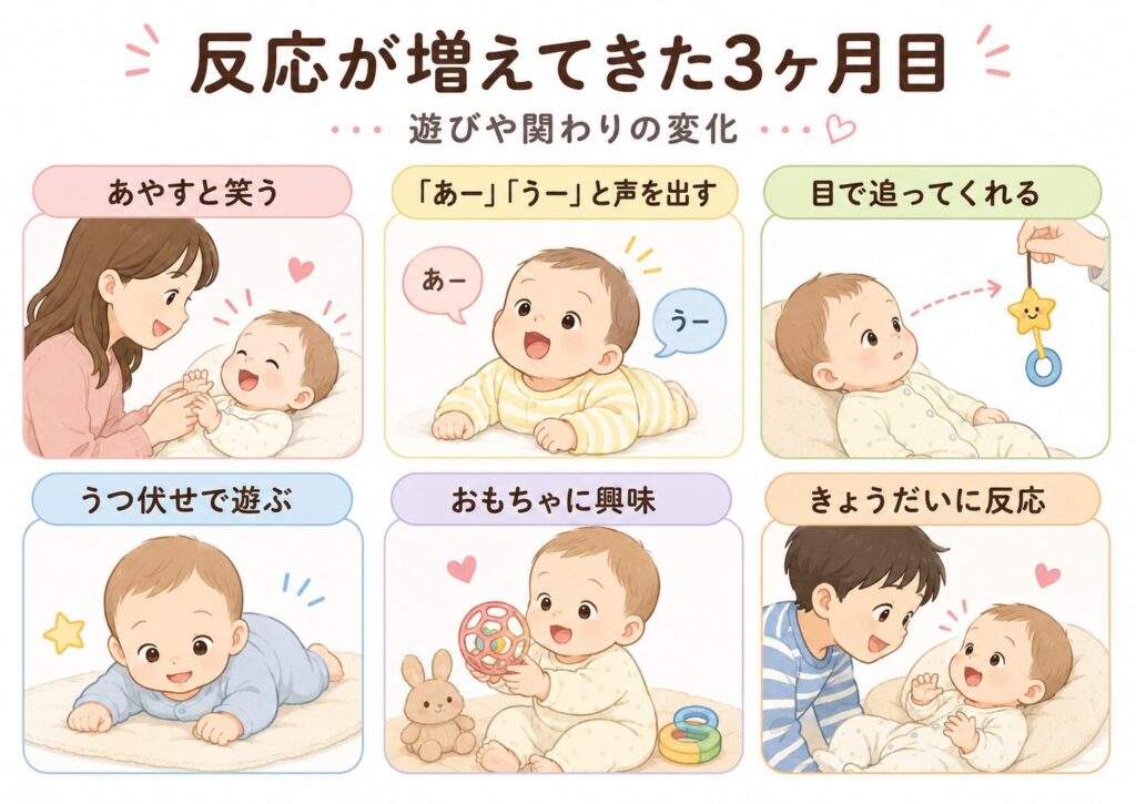 生後2ヶ月を過ぎて3ヶ月目に入った赤ちゃんの反応の変化。笑顔・声・目で追う・うつ伏せ遊び・おもちゃへの興味・きょうだいへの反応をまとめた挿し絵
