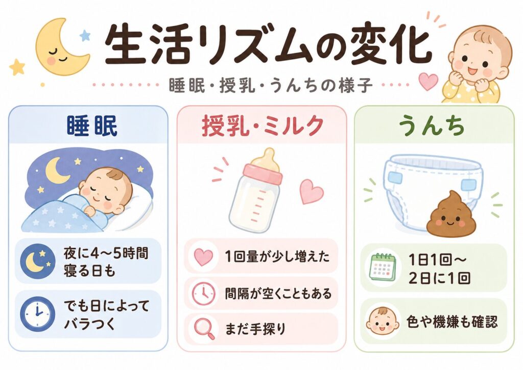 生後2ヶ月を過ぎて3ヶ月目に入った頃の、睡眠・授乳ミルク・うんちの変化をまとめました。まだ安定しきらない時期ですが、少しずつ生活リズムにも変化を感じるようになりました。